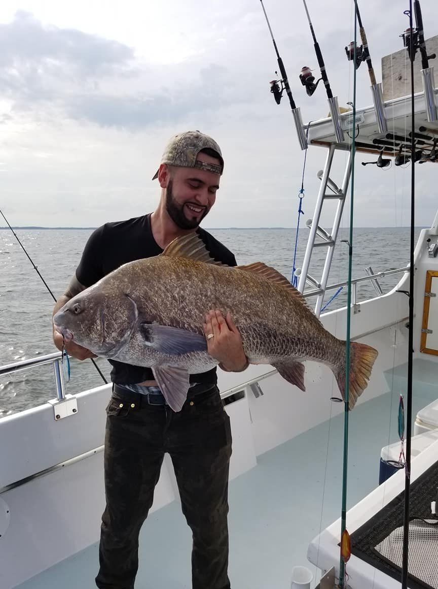 Black-Drum-1.jpg Black-Drum-1.jpg